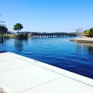 Meet your Posher, Dillon