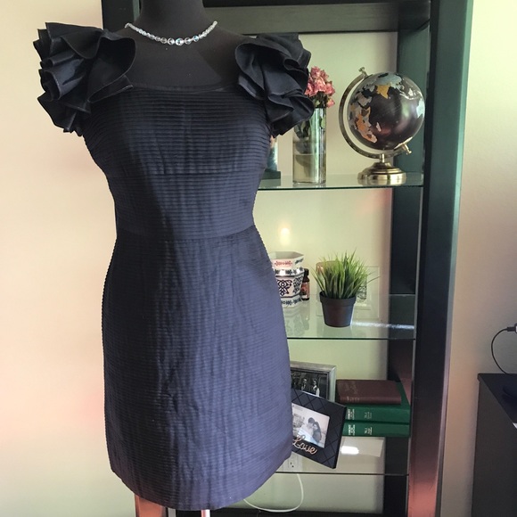 Anthropologie Dresses & Skirts - Anthropologie  Leifsdottir Black Pleated Dress