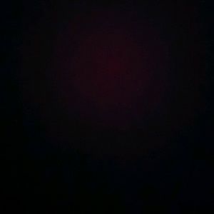 Meet your Posher, George