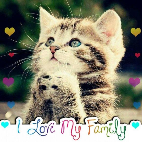 Meet your Posher, Donna - Picture 1 of 1