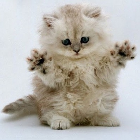 Hey, we’re the Slater girls ✿✿✿ - Picture 2 of 2