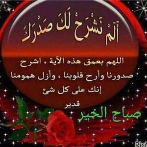 Meet your Posher, Rasha