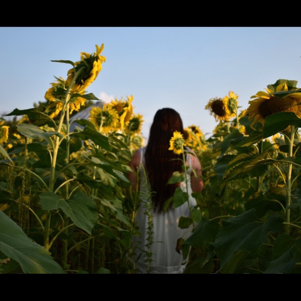 Meet your Posher, Abbi