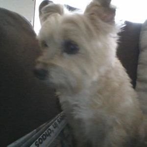 Meet your Posher, Sue