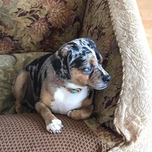 Meet your Posher, Mikki