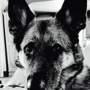 Meet your Posher, Ben