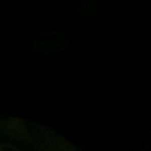 Meet your Posher, Shay