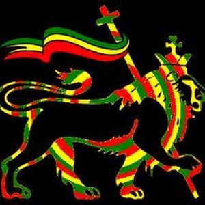 Meet your Posher, Max