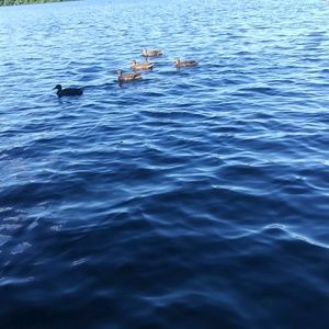 Meet your Posher, Jose