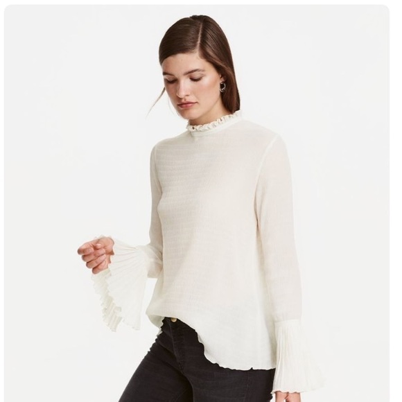 H&M Tops - HP🙋🏻! H&M Crinkle Chiffon Victorian Style Blouse