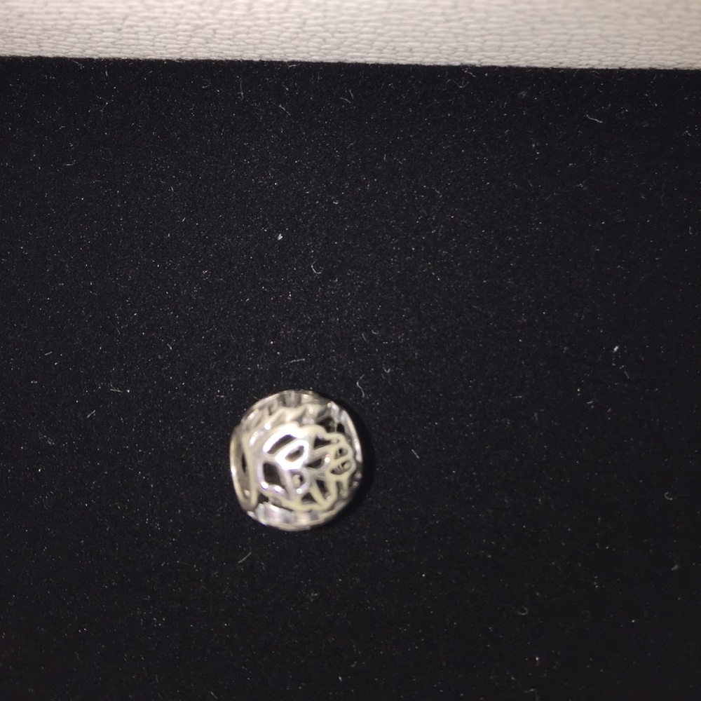 Autumn leaf pandora charm!