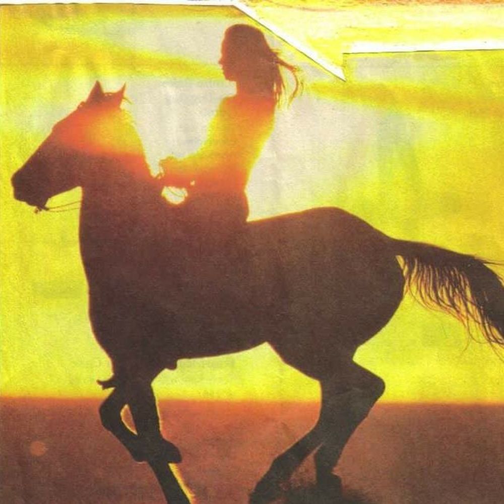 Meet your Posher, Melodie