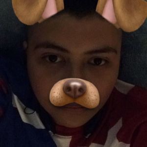 Meet your Posher, Rico