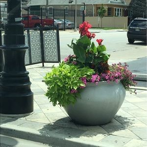 Meet your Posher, Ruquia