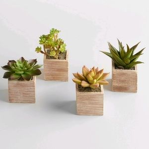 Meet your Posher, Kay