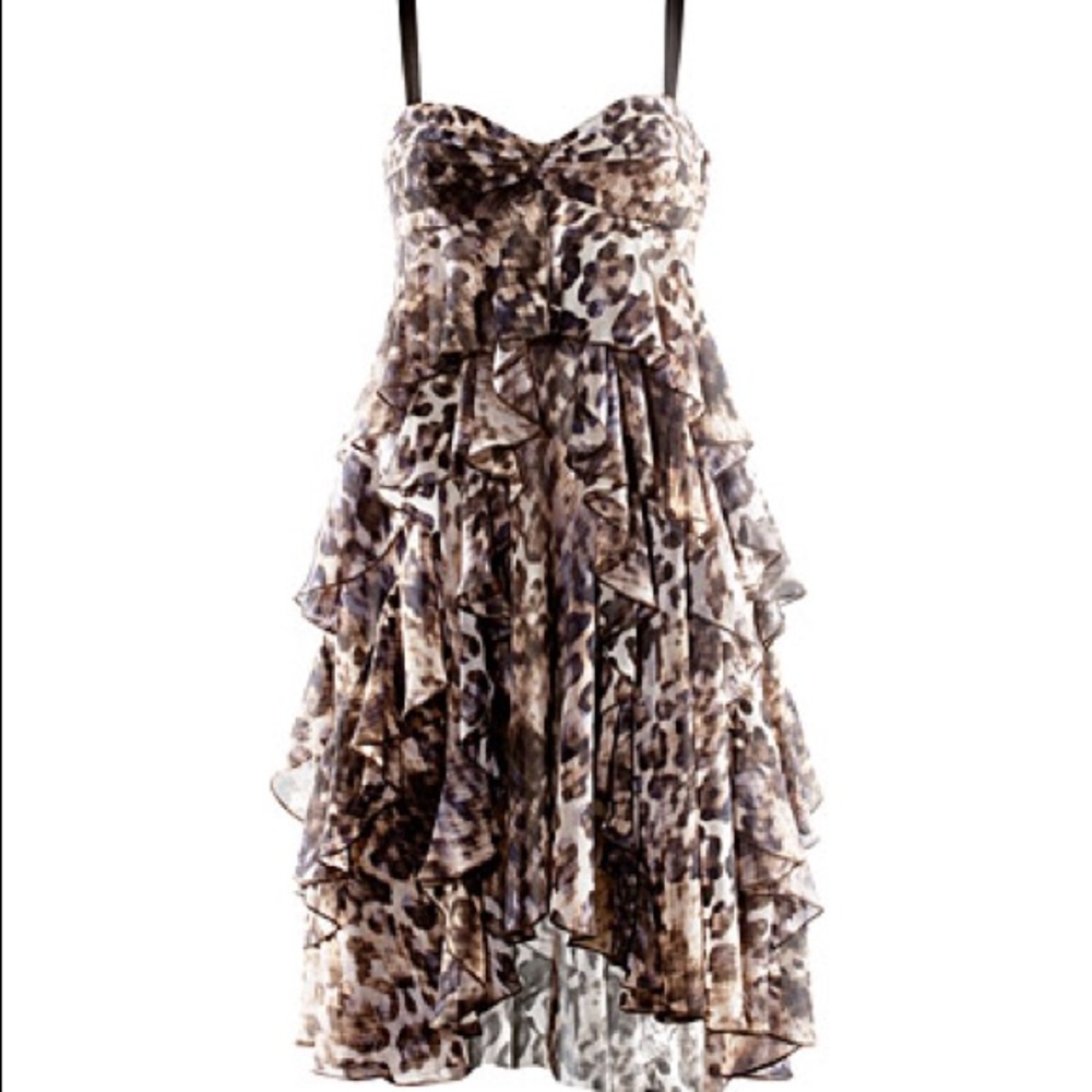 H&M Leopard print chiffon dress