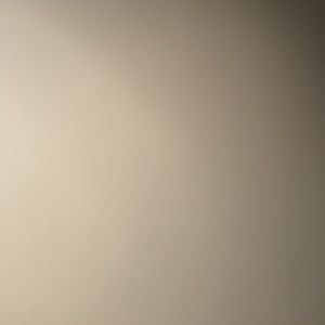 Meet your Posher, Bella