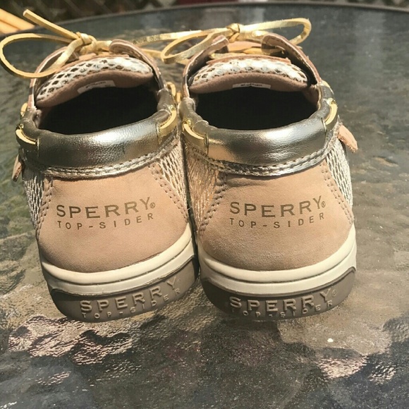Sperry size 6 women - Picture 4 of 6