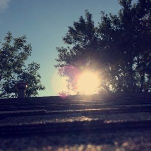 Meet your Posher, Klyn