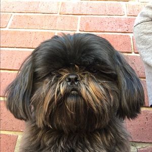 Meet your Posher, Robby