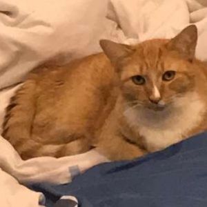 Meet your Posher, Grace