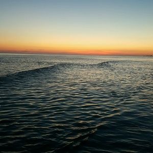 Meet your Posher, Danko