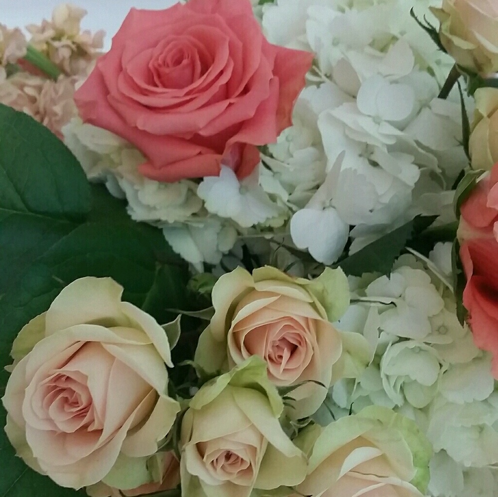 Meet your Posher, Venus