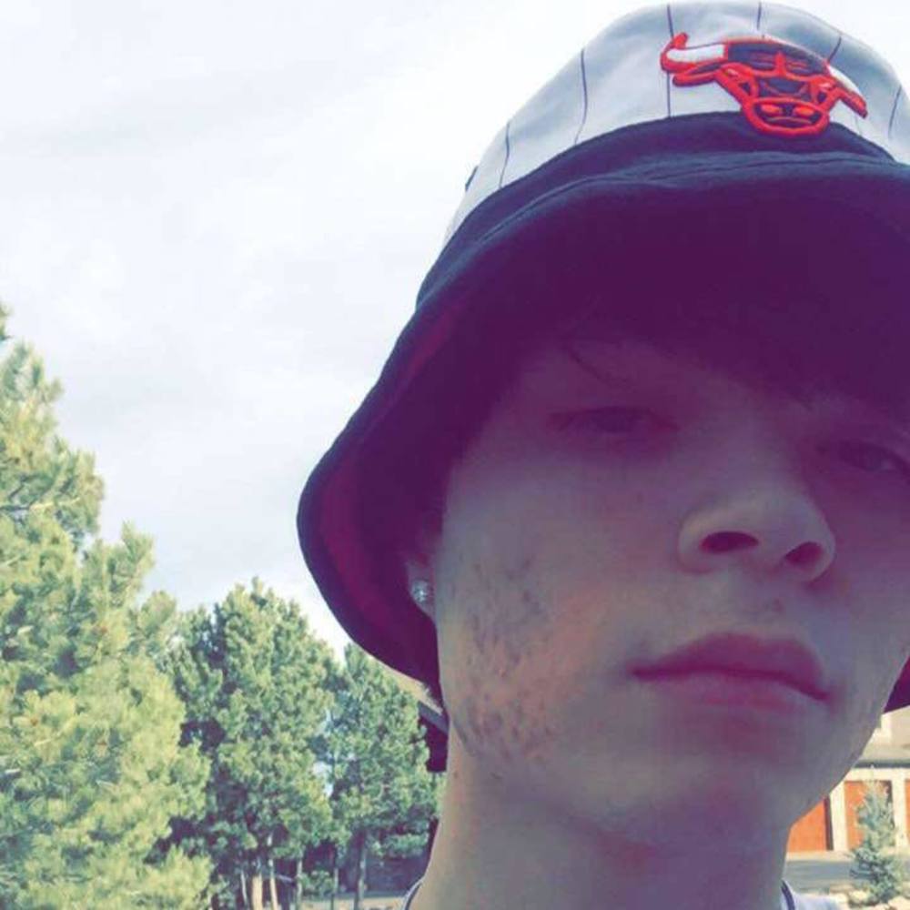 Meet your Posher, Harrison