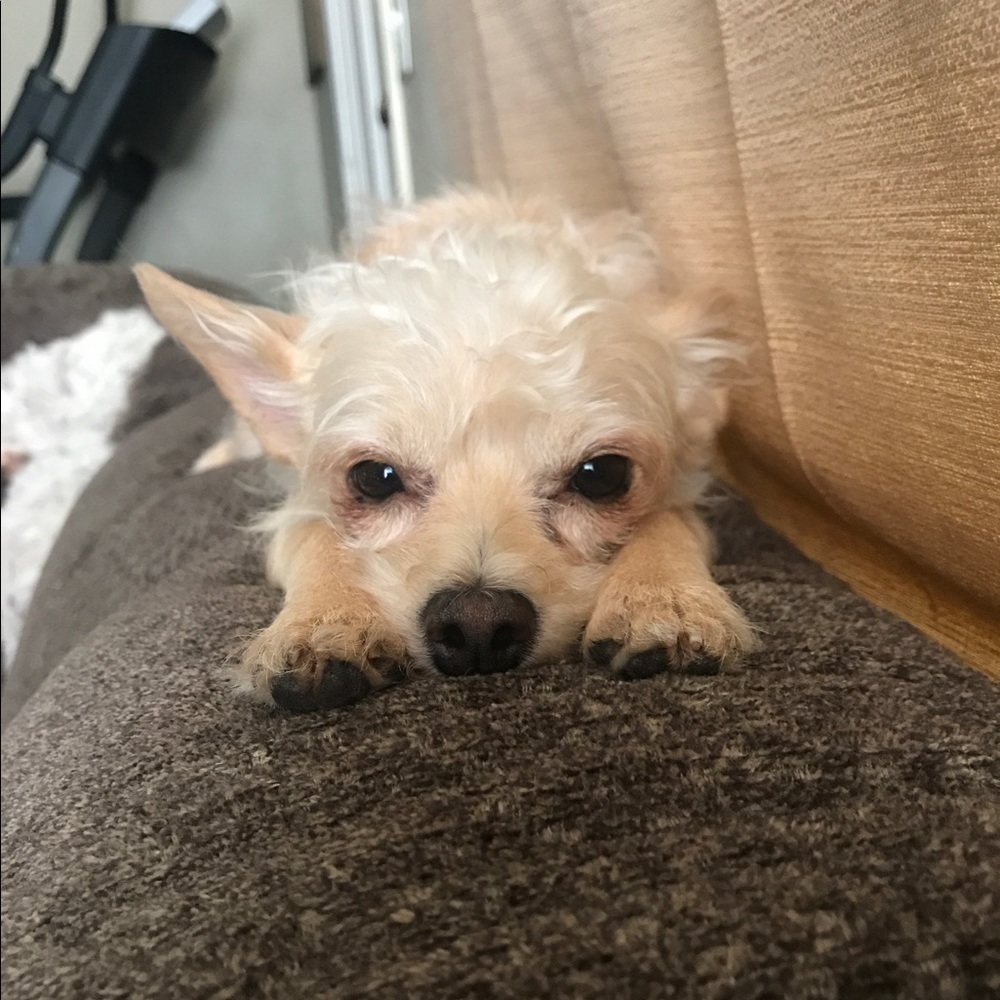 Meet your Posher, Kassandra