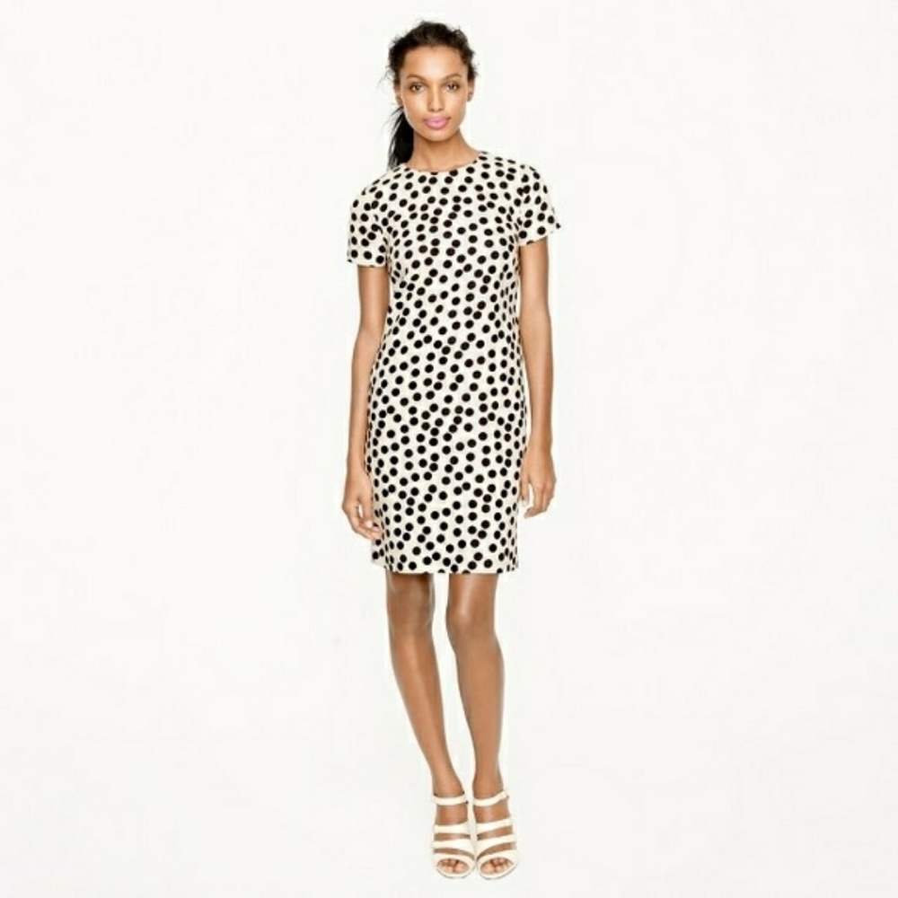 NWOT J.Crew Scattered Polka Dot Shift Dress
