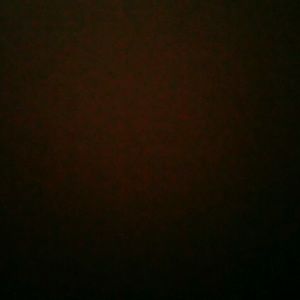 Meet your Posher, Allan