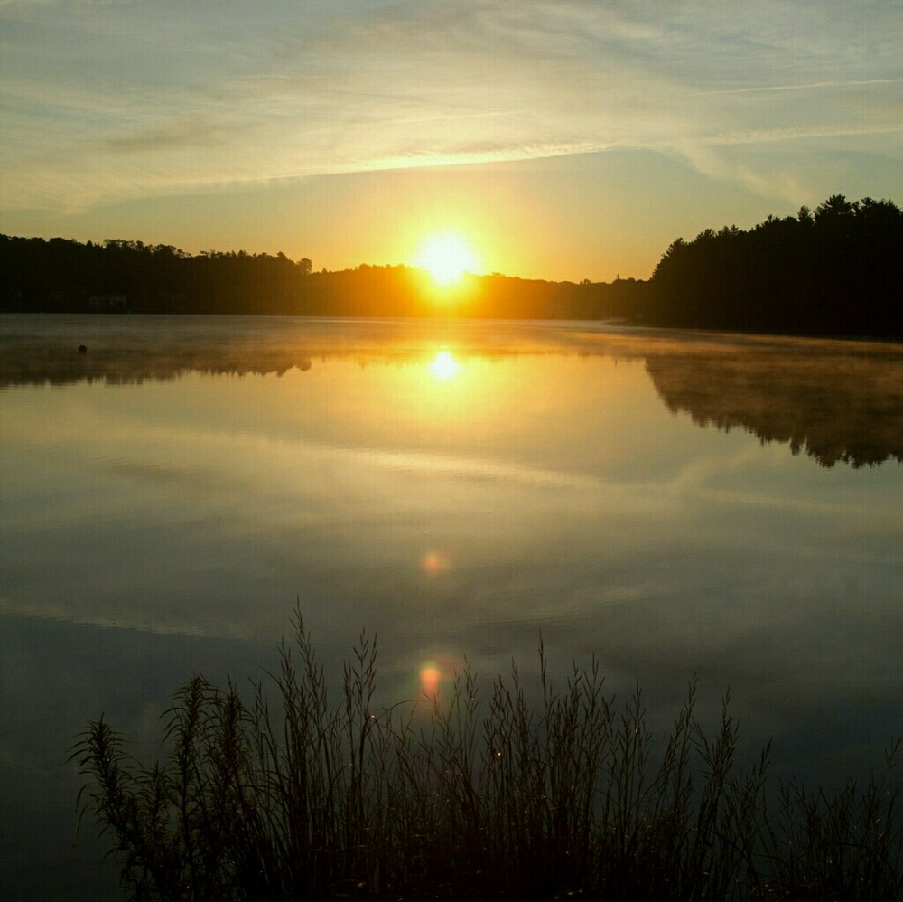 Meet your Posher, Laila