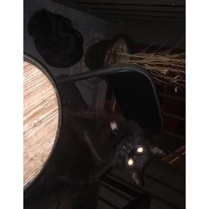 Meet your Posher, Maryjane