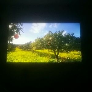 Meet your Posher, Paul