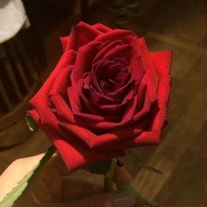 Meet your Posher, Bere