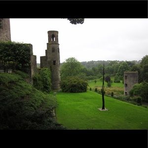 Meet your Posher, Rory