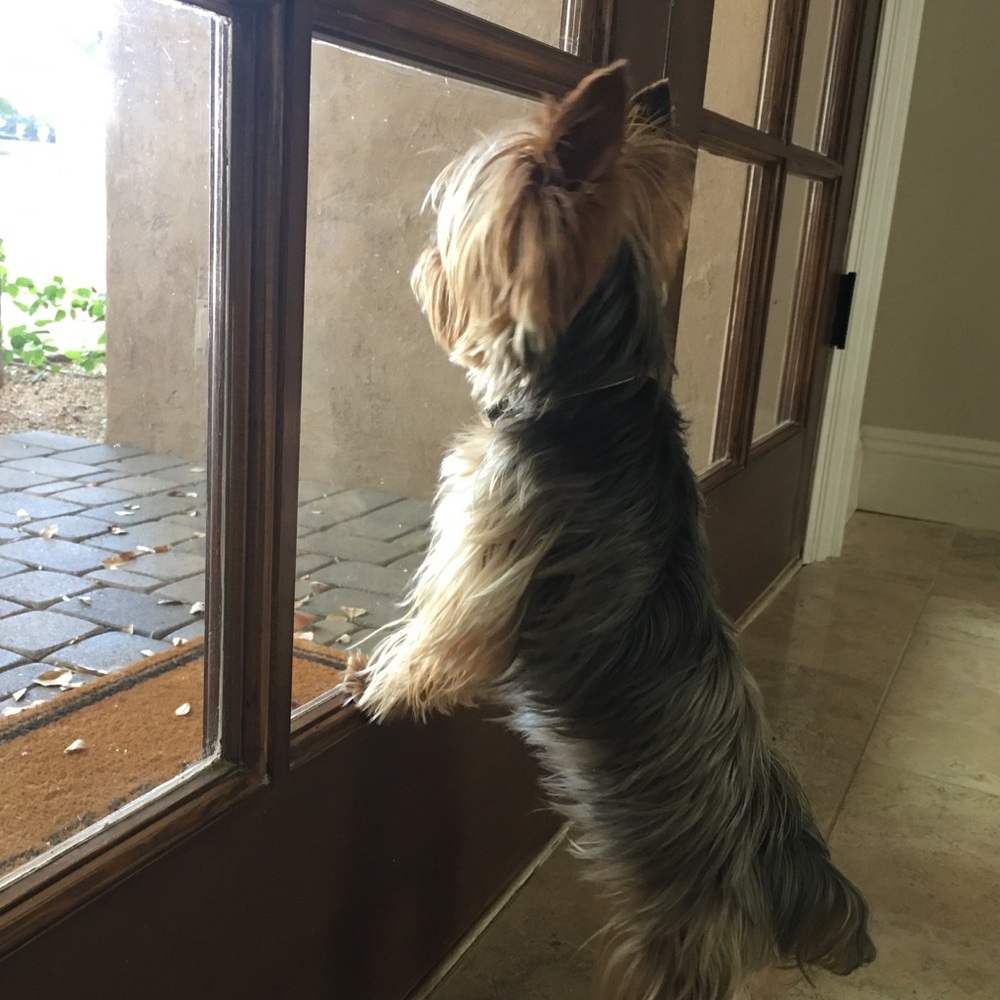Waiting for your posh packages like...