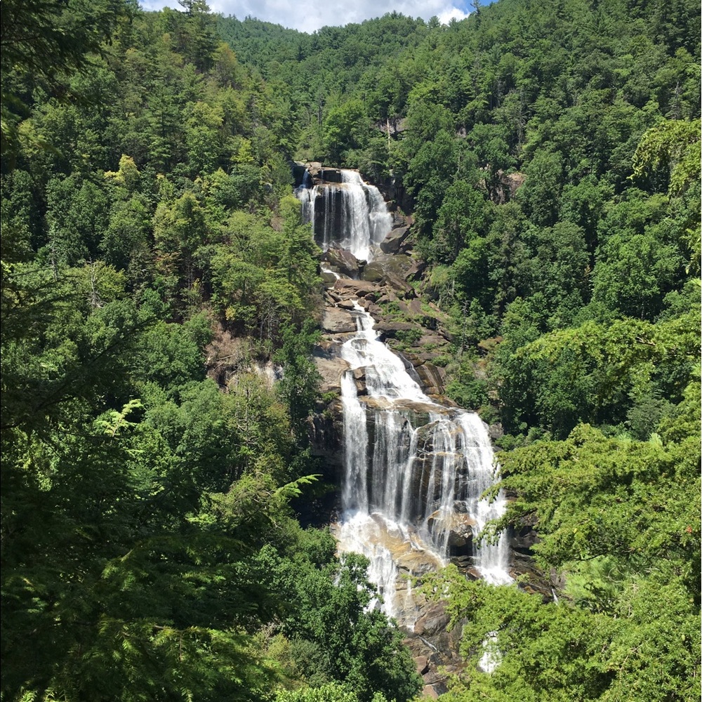 Meet your Posher, Morgan