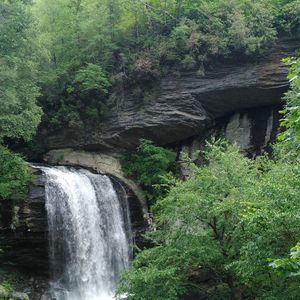 Meet your Posher, Buffy