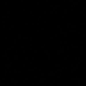 Meet your Posher, Miguel