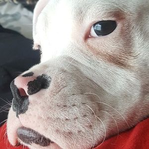 Meet your Posher, Gary