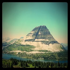 Meet your Posher, Jessie