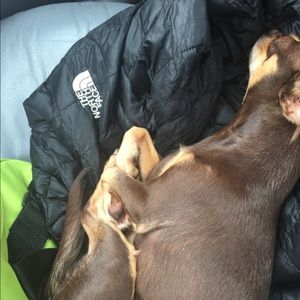 Meet your Posher, Vaughnte