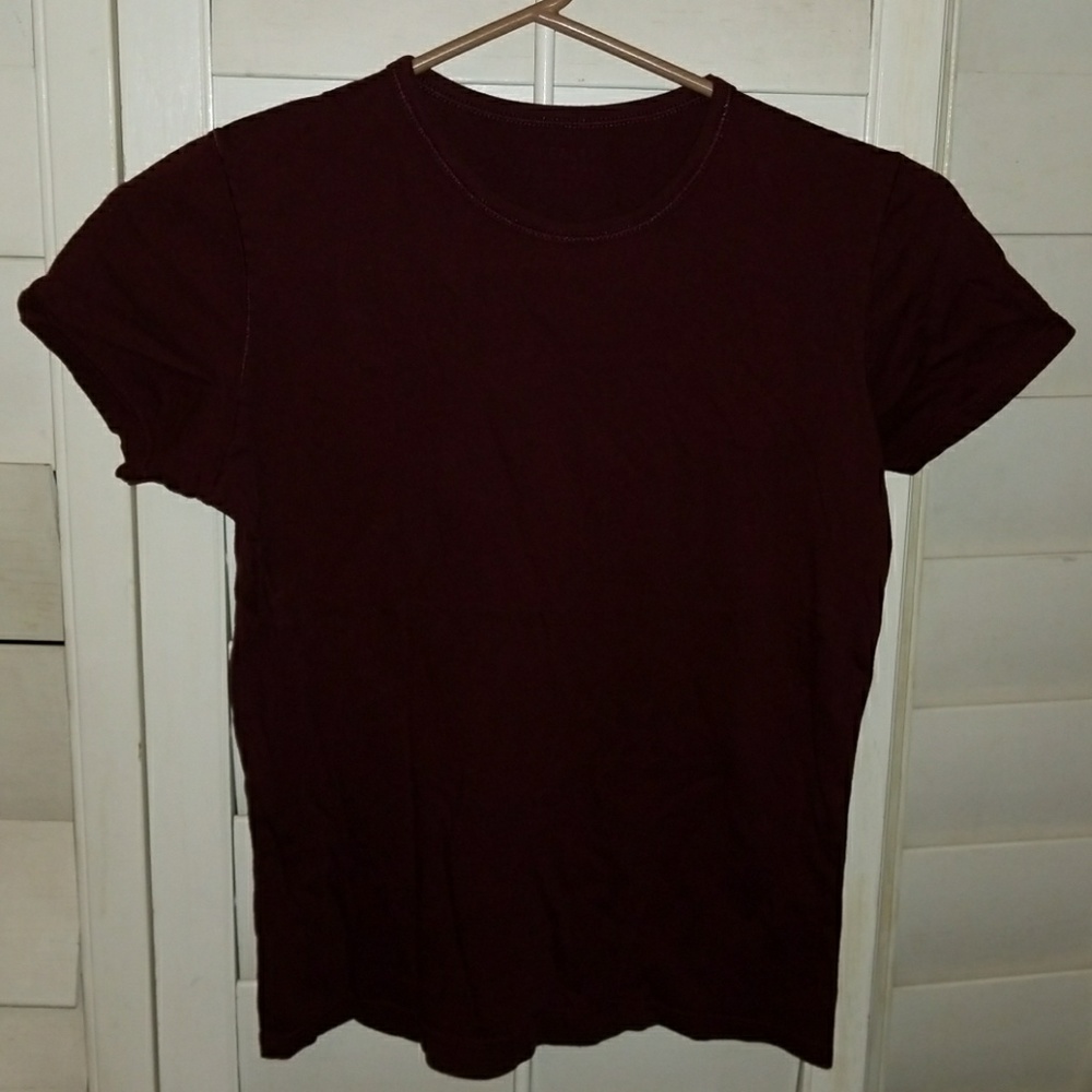 Brandy Melville Maroon Cropped T-Shirt