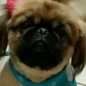 Meet your Posher, Frances