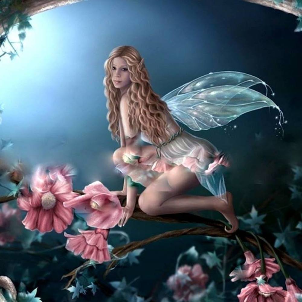 Meet your Posher, Deana