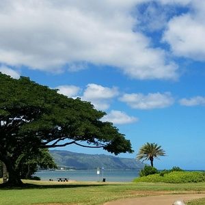 Meet your Posher, Lheony