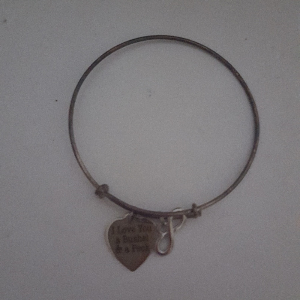 Alex and ani style bracelet