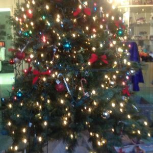 Meet your Posher, Jaylen