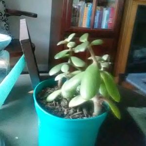 Meet your Posher, Melinda